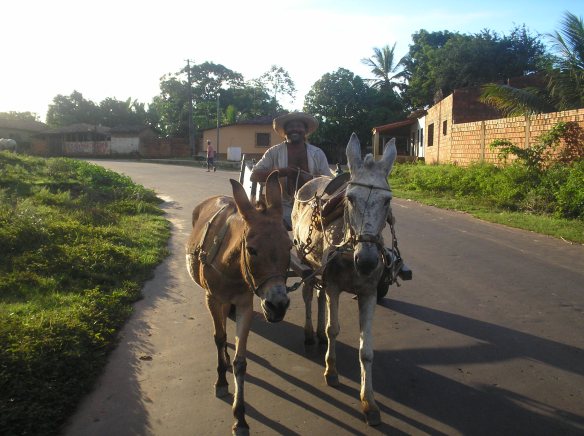 Transporte tradicional de Palmeirândia